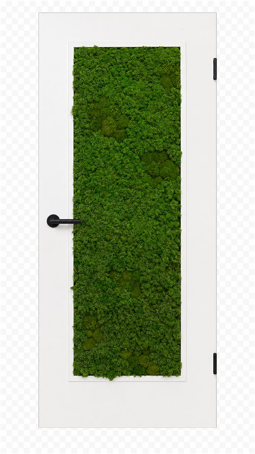 CasaMoa MT3 Kompaktpanel – Türblatt mit kompaktem Moos-Feld